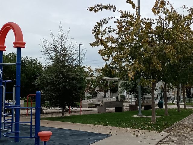 place photo 24