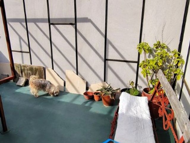 place photo 27
