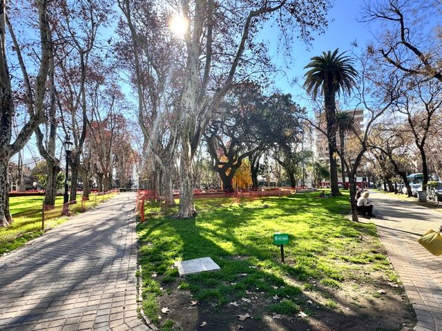 place photo 53