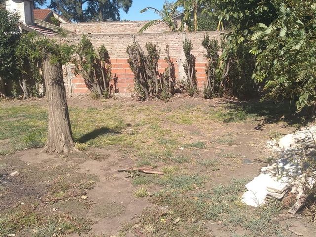 place photo 8