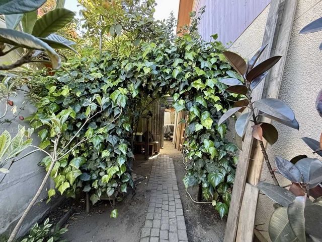 place photo 24