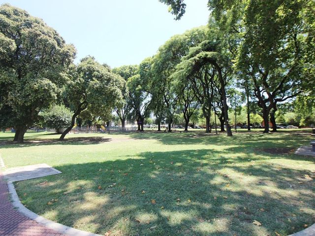 place photo 40