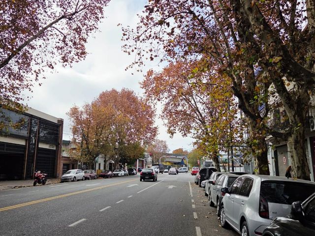 place photo 49