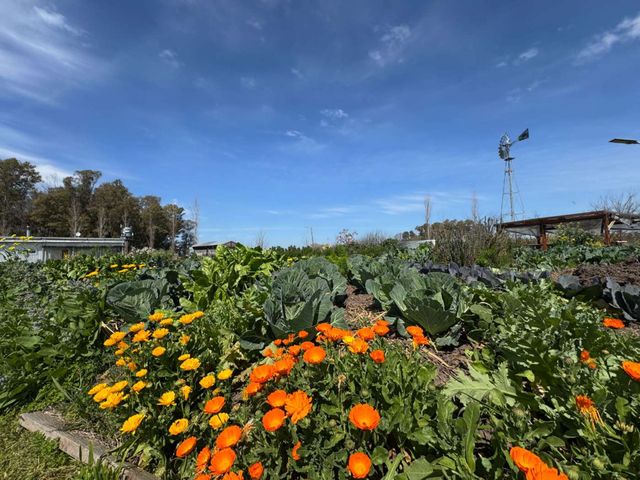 place photo 22