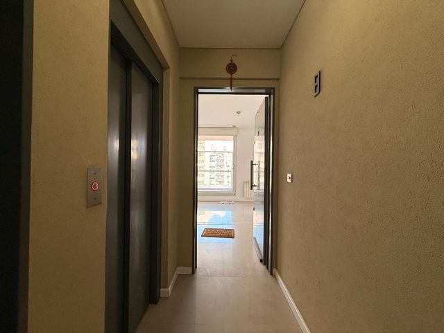 place photo 37
