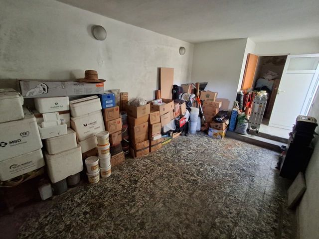 place photo 40