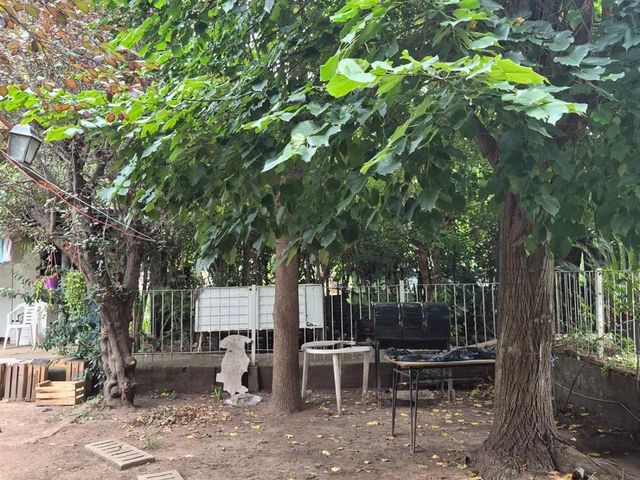place photo 39