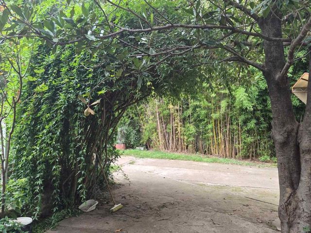 place photo 40
