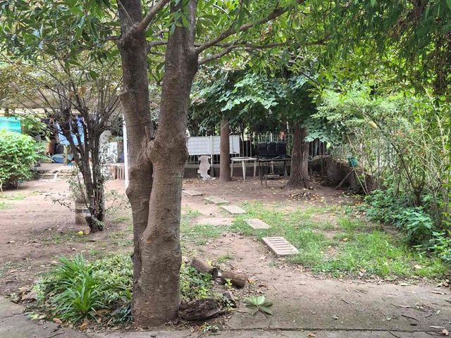 place photo 37