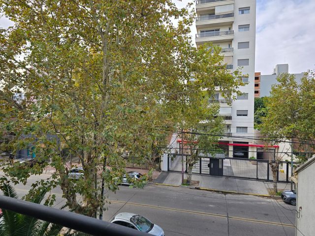 place photo 23