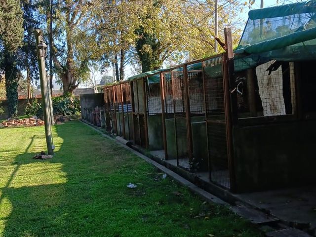 place photo 35