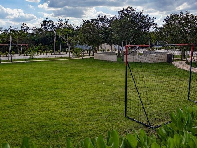 place photo 27