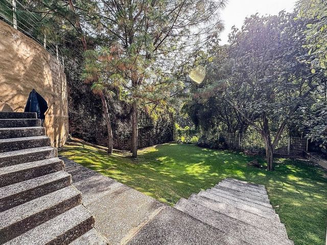 place photo 45