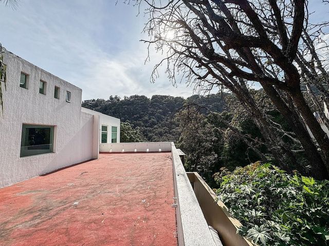 place photo 40