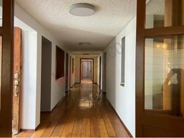 place photo 49