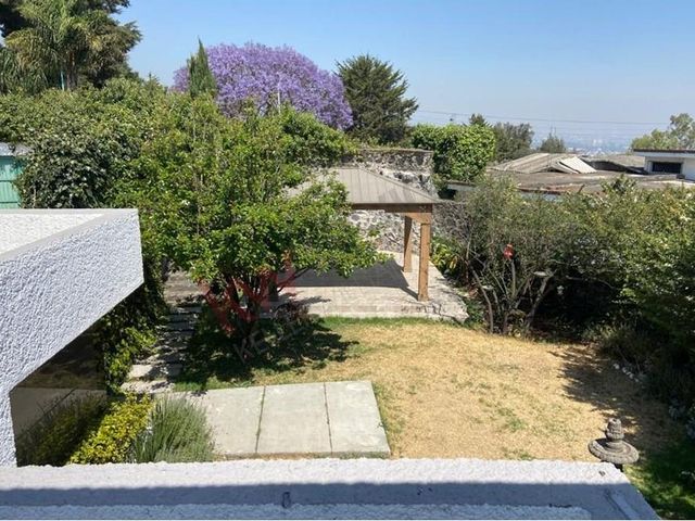 place photo 39