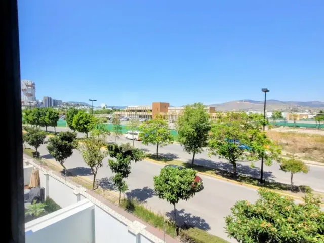 place photo 23