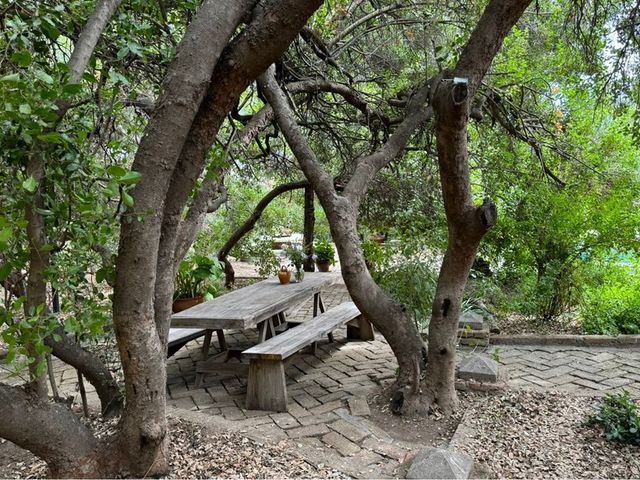 place photo 40