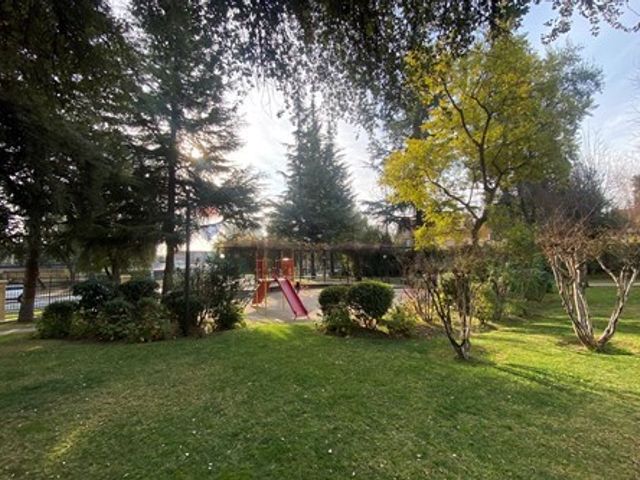 place photo 47