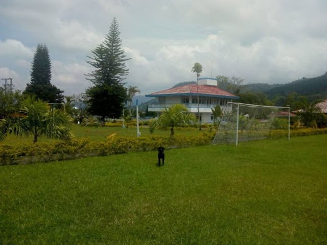 place photo 16