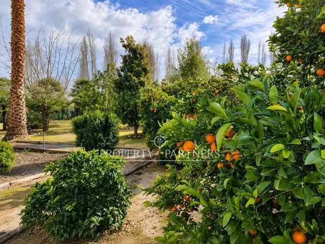 place photo 51