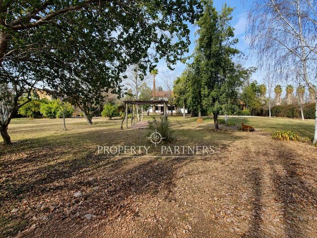 place photo 47