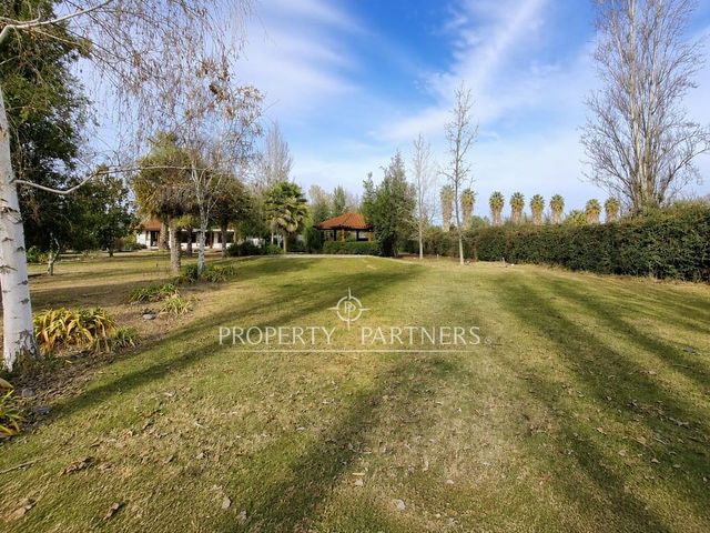 place photo 46