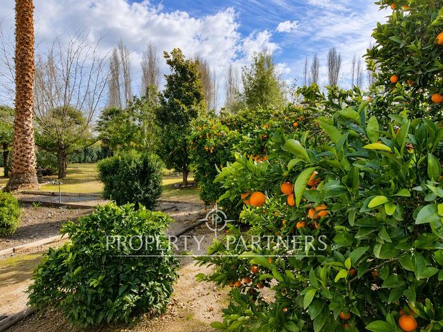 place photo 51