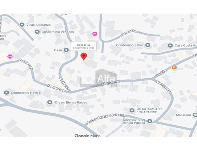 place photo 16