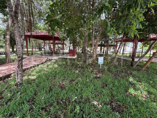 place photo 24