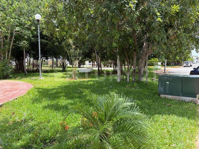 place photo 23