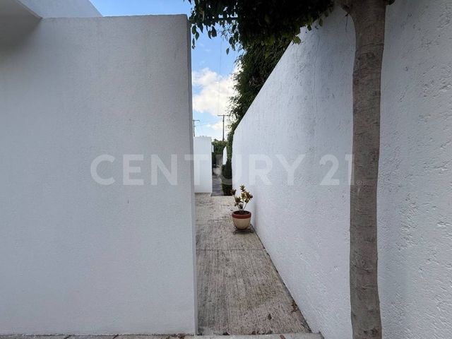 place photo 44