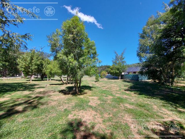 place photo 43