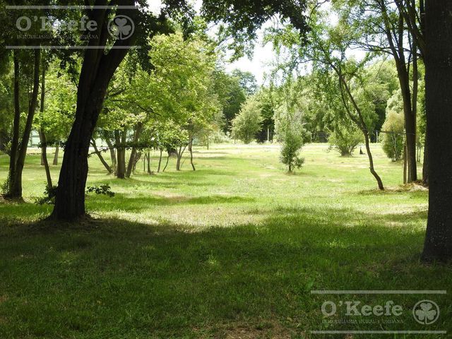 place photo 42