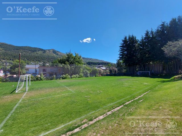 place photo 41