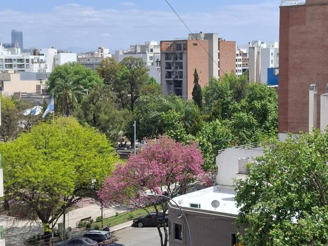 place photo 26