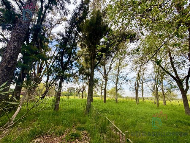 place photo 66