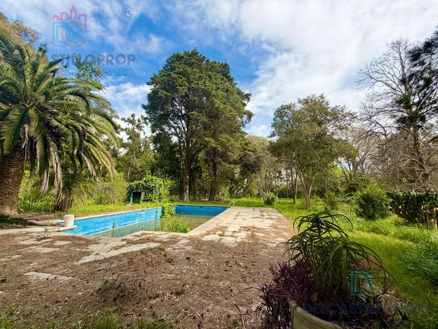 place photo 69