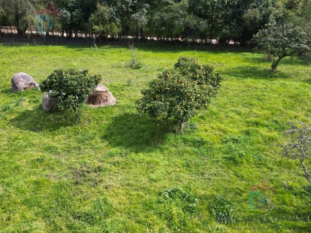 place photo 111