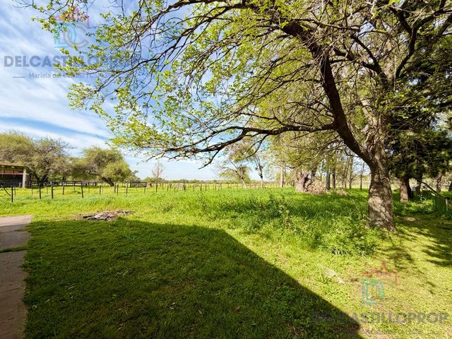 place photo 59