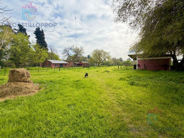 place photo 20