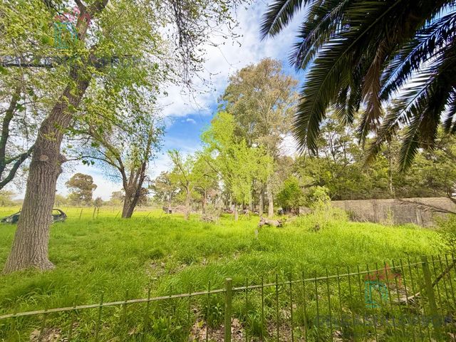place photo 71