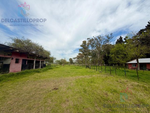 place photo 12