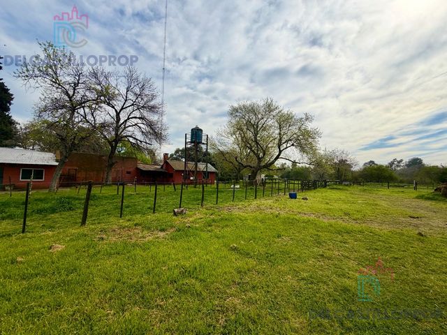 place photo 19