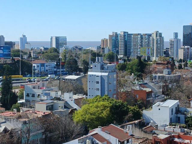 place photo 36