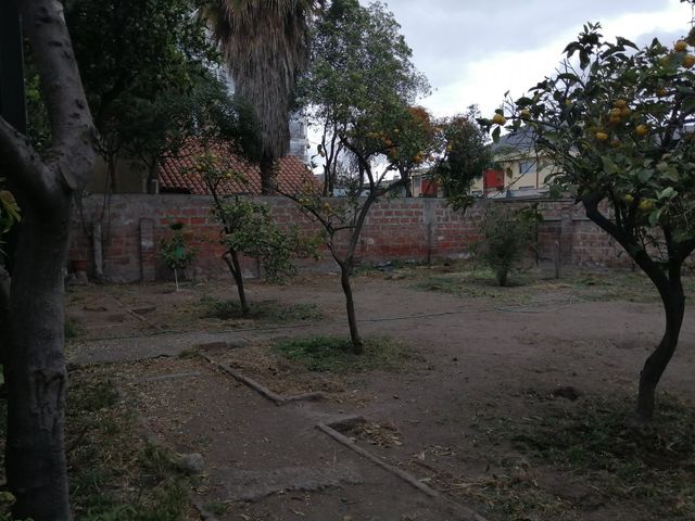 place photo 21