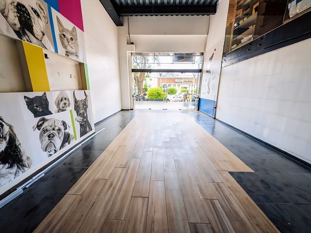 place photo 11