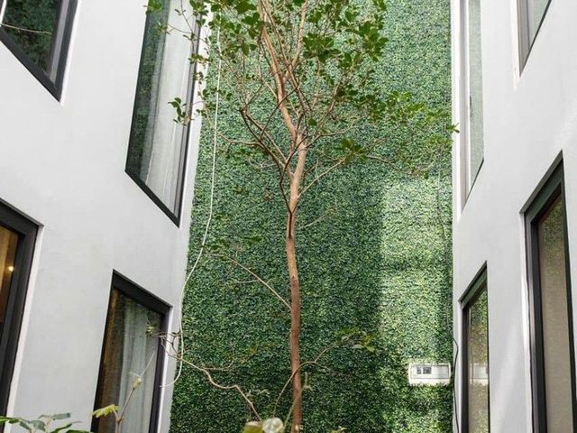 place photo 34