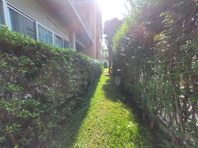 place photo 62