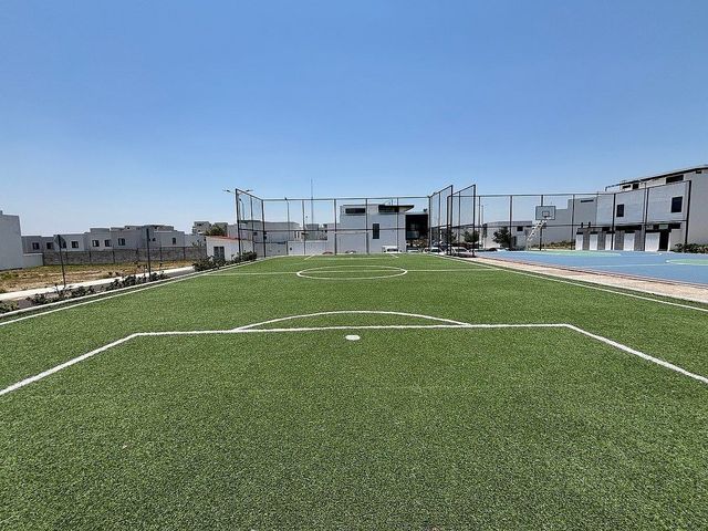 place photo 43
